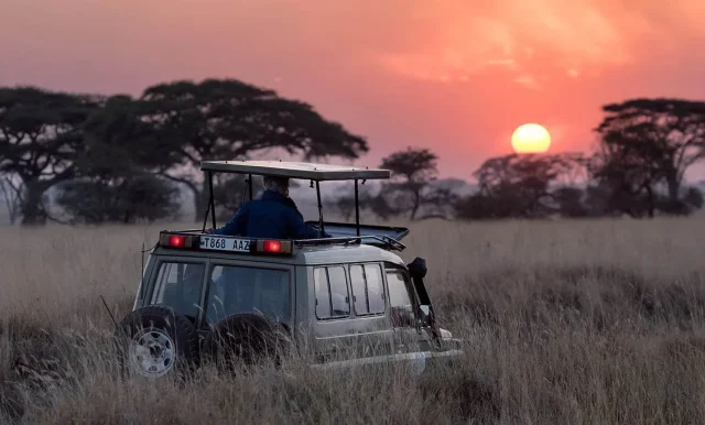 helping hands african safari tours 640x386